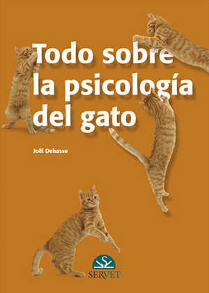 Todo sobre la psicología del gato